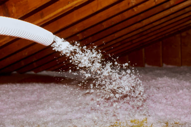 Best Insulation Installation Services in Fellsmere, FL