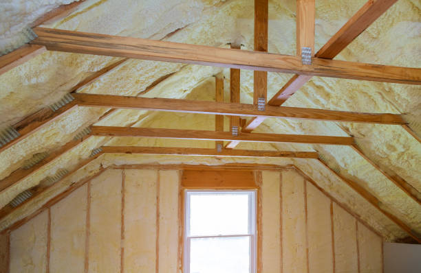 Best Residential Insulation in Fellsmere, FL