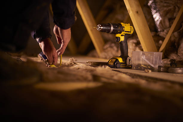 Best Insulation Maintenance and Repair in Fellsmere, FL