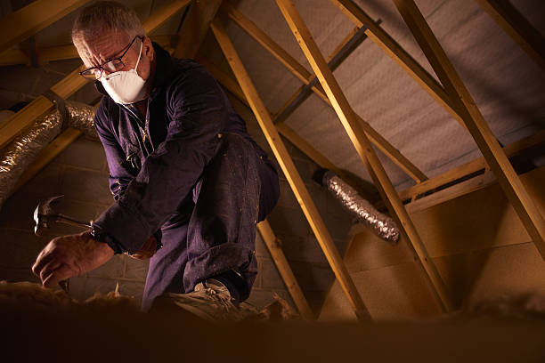 Best Insulation for Specific Applications in Fellsmere, FL